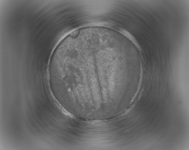 X0000064741436200603031656