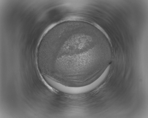 X0000064741437200603031656