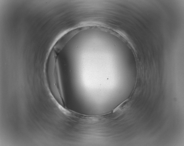 X0000064741438200603031656