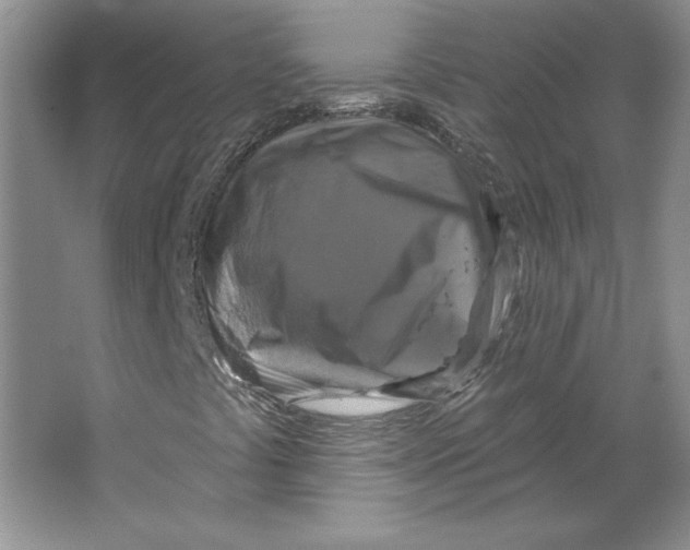 X0000064741441200603031655