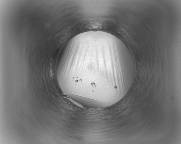 X0000064741442200603031655