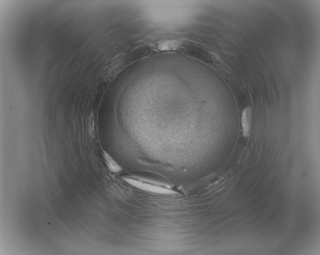 X0000064741443200603031655