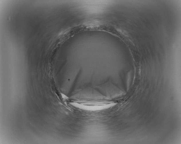 X0000064741445200603031655