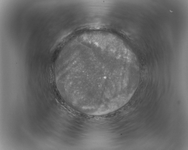 X0000064741446200603031655