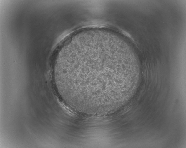 X0000064741448200603031655