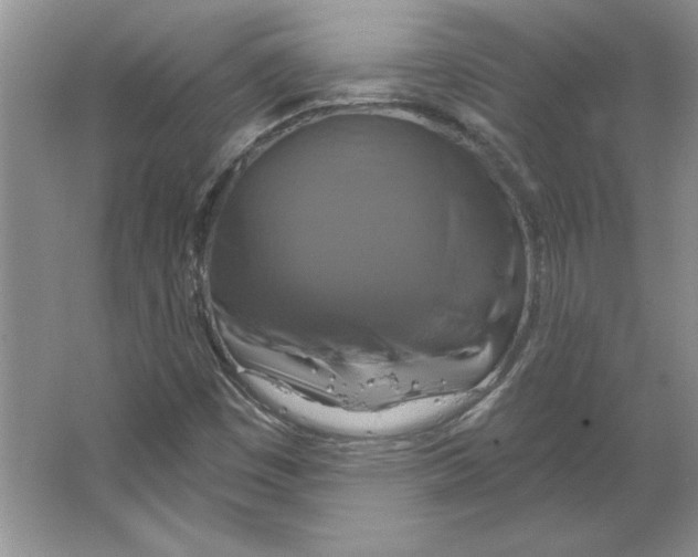 X0000064741449200603031655