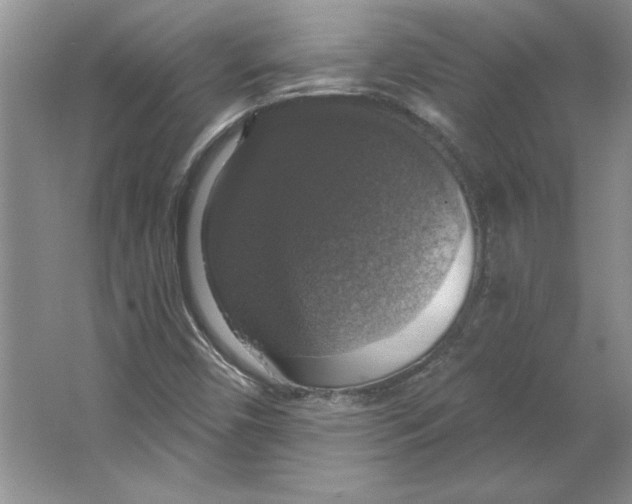 X0000064741450200603031655