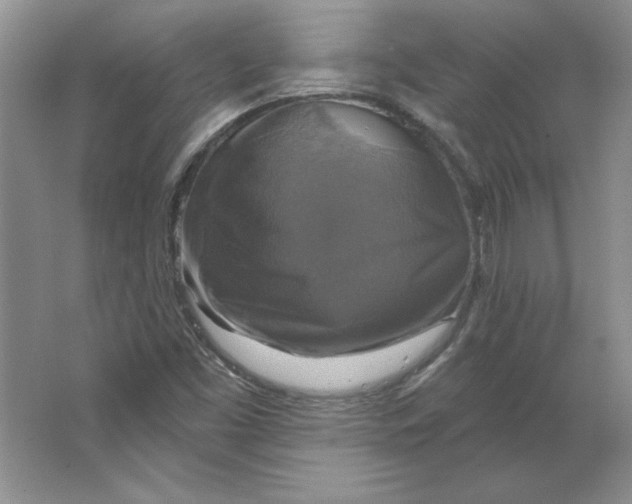 X0000064741453200603031655