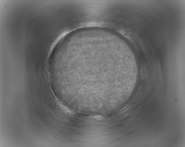 X0000064741454200603031655