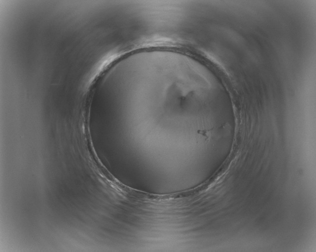 X0000064741455200603031655