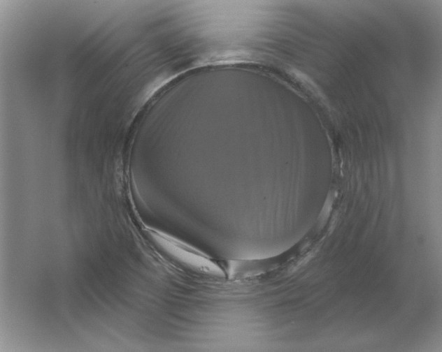 X0000064741457200603031655