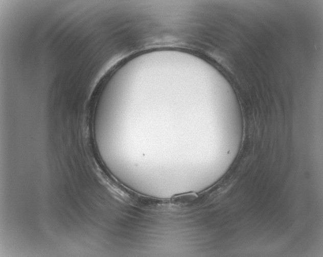 X0000064741458200603031655