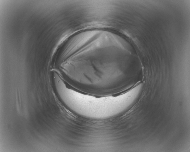 X0000064741459200603031655