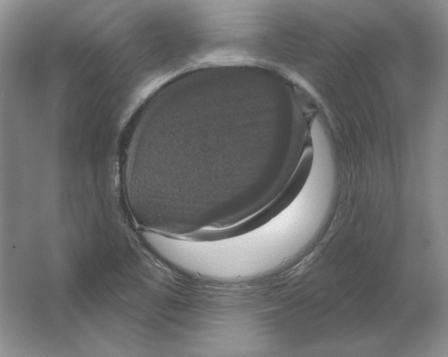 X0000064741461200603031655