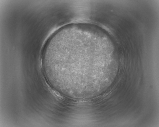 X0000064741462200603031655