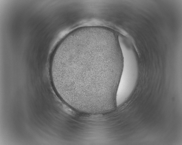 X0000064741464200603031655