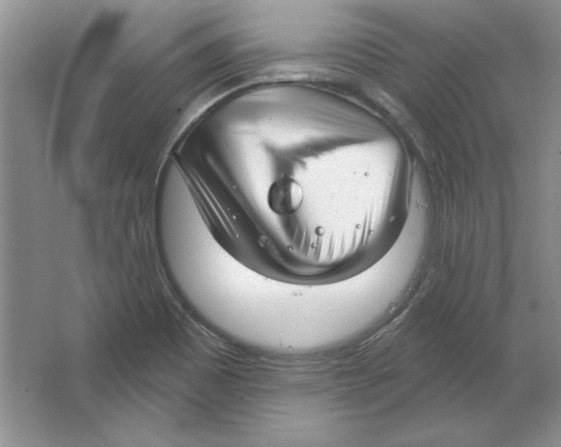 X0000064741465200603031655