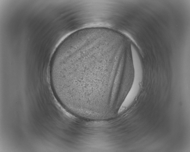 X0000064741468200603031655