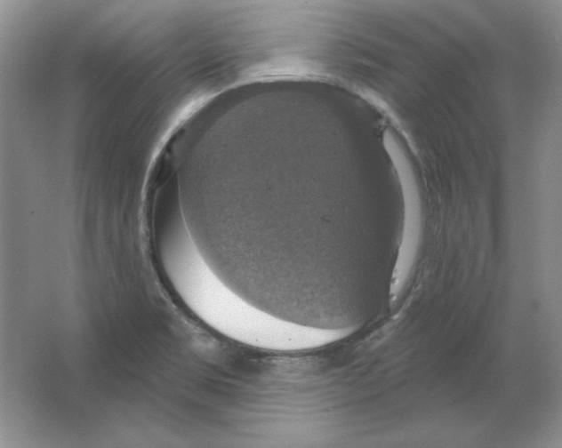 X0000064741469200603031655