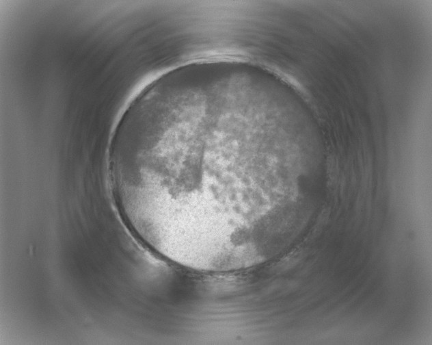 X0000064741470200603031655