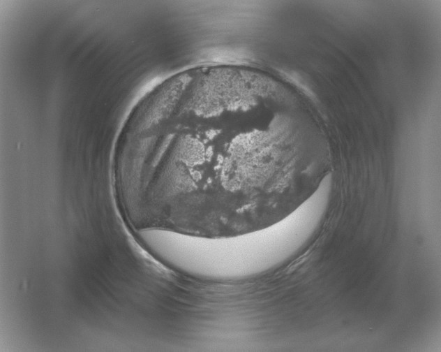 X0000064741471200603031655