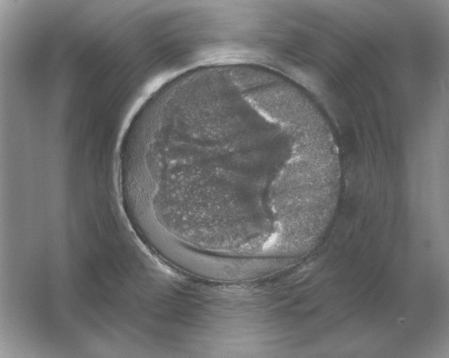 X0000064741472200603031655