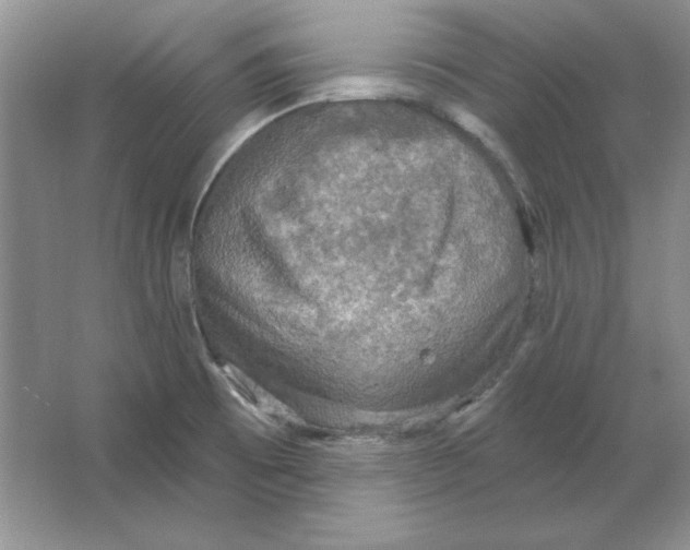 X0000064741473200603031655