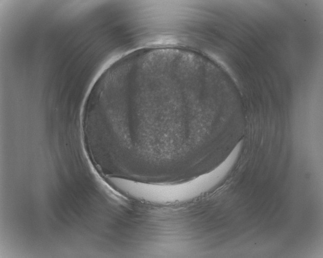 X0000064741475200603031655