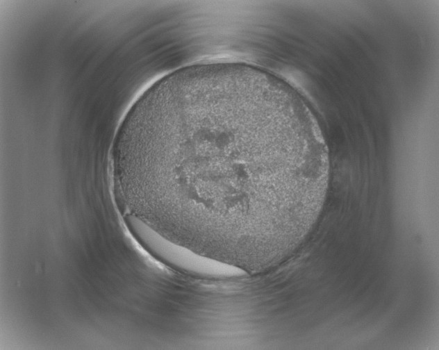 X0000064741476200603031655