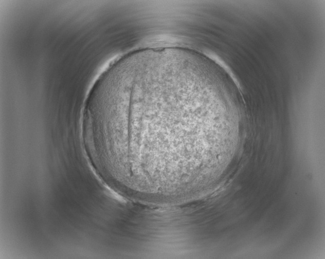 X0000064741477200603031655