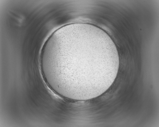 X0000064741478200603031654