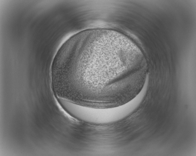 X0000064741479200603031654