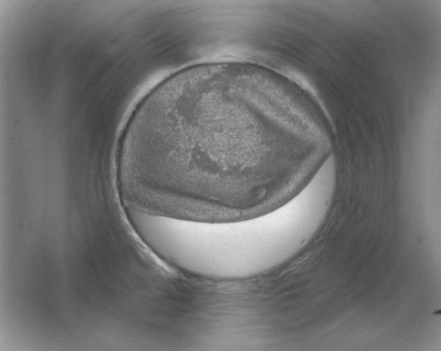 X0000064741480200603031654