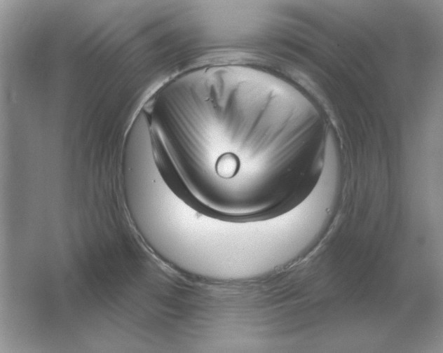 X0000064741481200603031654