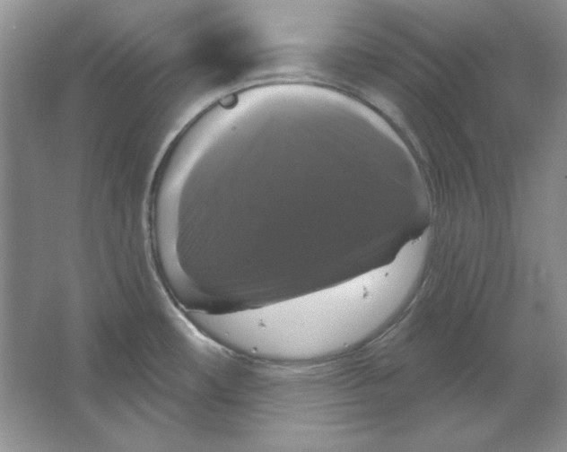 X0000064741482200603031654