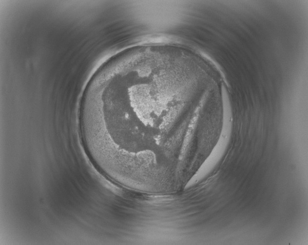 X0000064741483200603031654