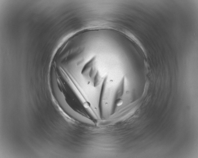 X0000064741485200603031654