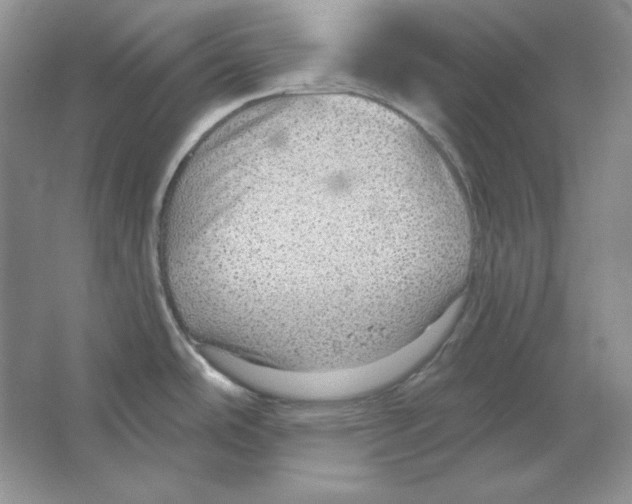 X0000064741486200603031654