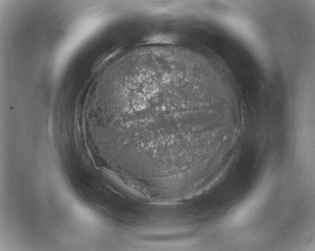 X0000064741487200603031654