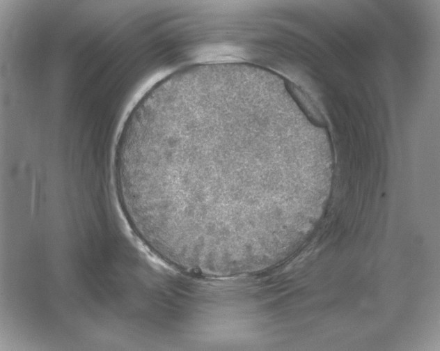 X0000064741488200603031654