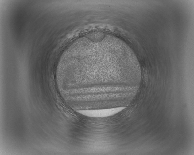 X0000064741489200603031654