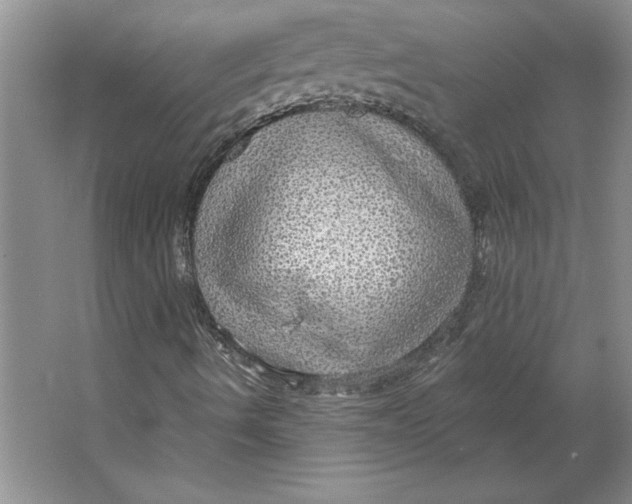 X0000064741490200603031654