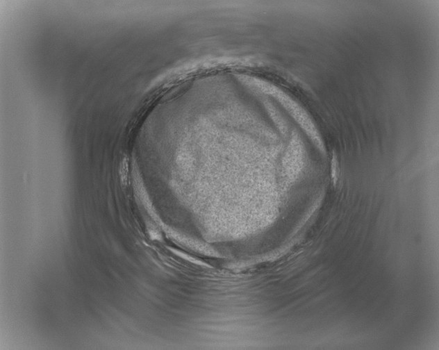 X0000064741492200603031654