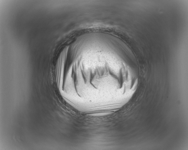 X0000064741493200603031654