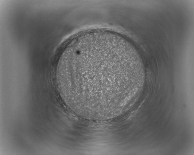 X0000064741494200603031654