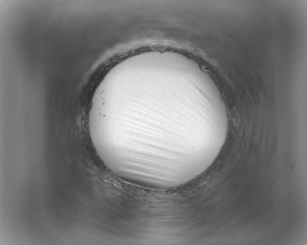 X0000064741495200603031654