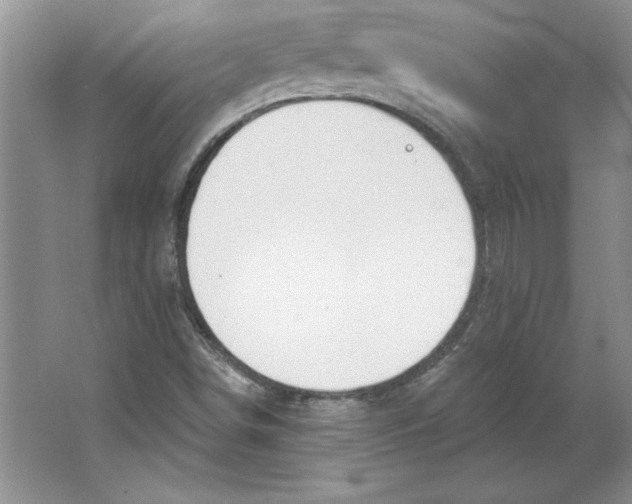 X0000064741498200603031654