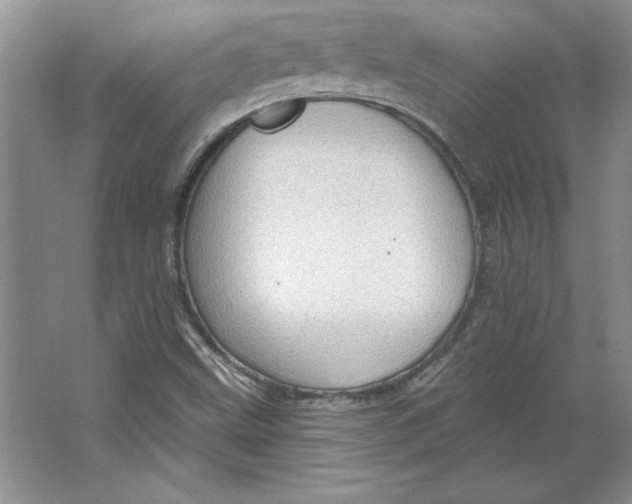 X0000064741499200603031654