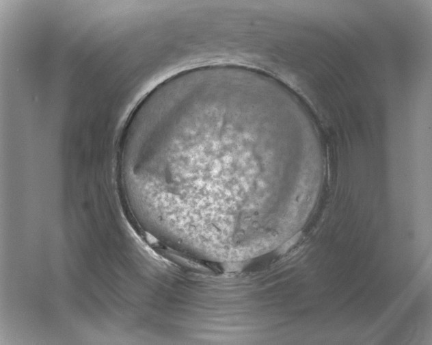 X0000064741500200603031654