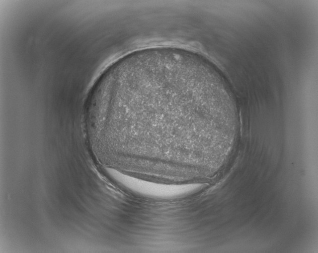 X0000064741501200603031654